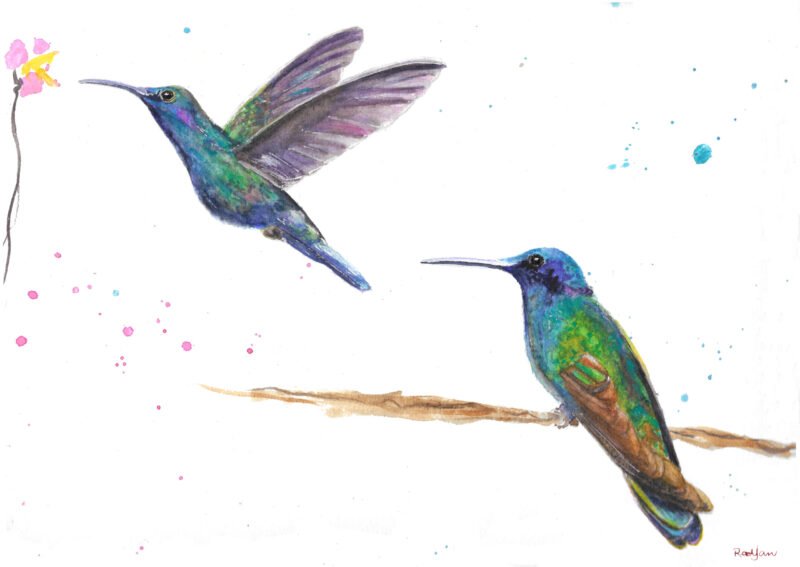 Humming birds watercolour print