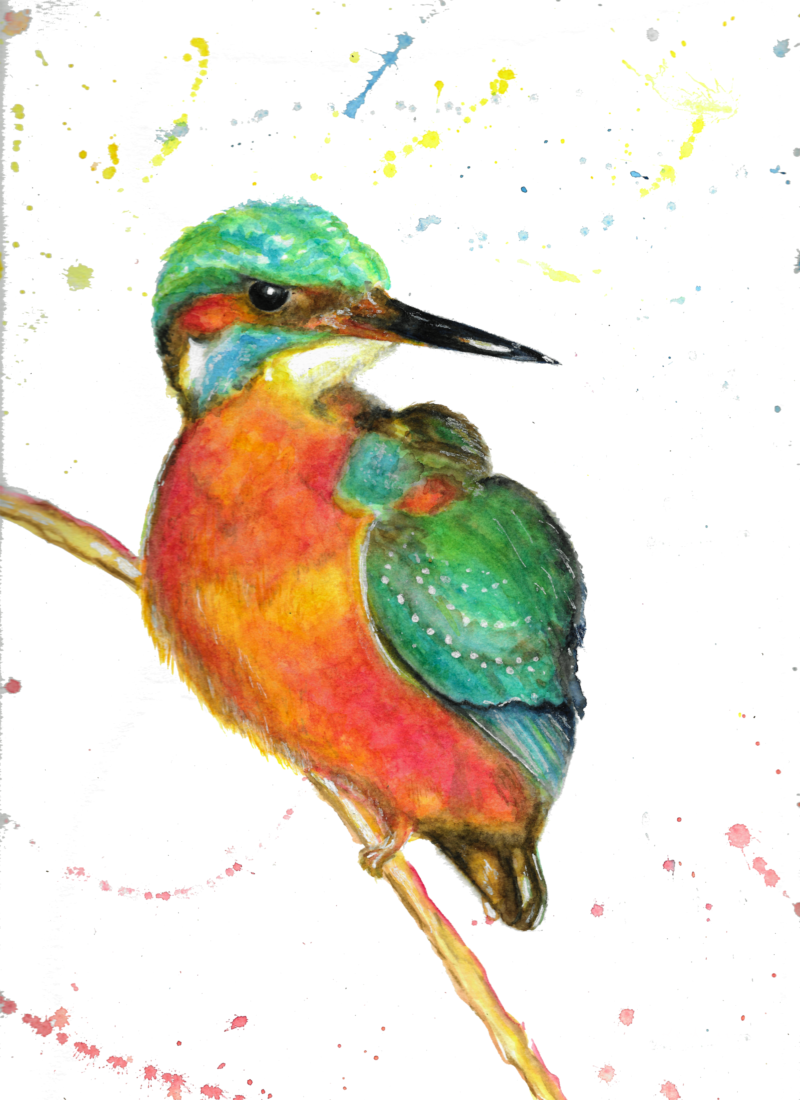Watercolour Kingfisher print