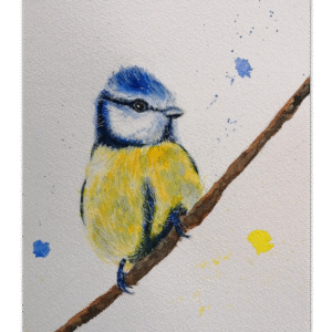 Bluetit watercolour bird. Nature wall art print from original painting featuring a little Bluetit on a branch.