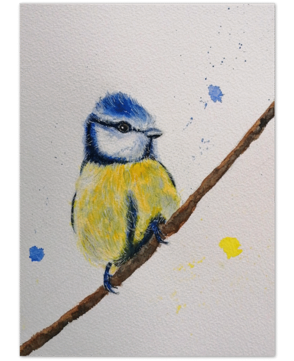 Bluetit watercolour bird. Nature wall art print from original painting featuring a little Bluetit on a branch.