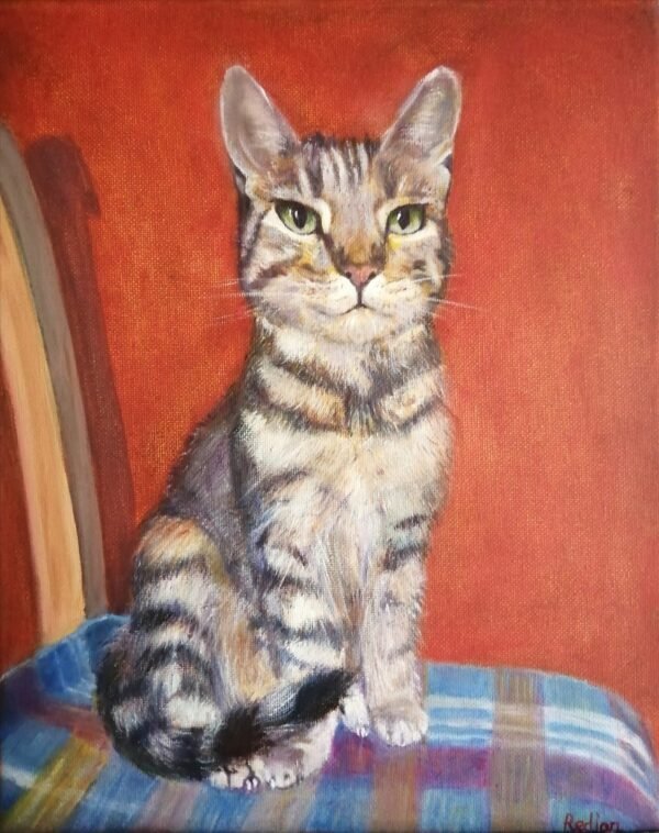 Pet Portraits