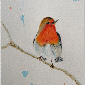 British garden bird painting. Watercolour print of a Robin in winter on a branch.