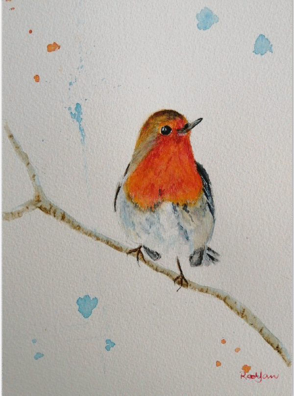 British garden bird painting. Watercolour print of a Robin in winter on a branch.