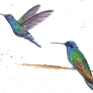 Humming birds
