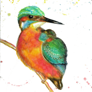 Kingfisher On A Branch