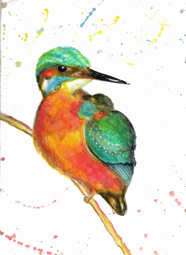 Kingfisher On A Branch