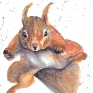 Red Squirrel, Watercolour Painting Of A Scottish Red Squirrel