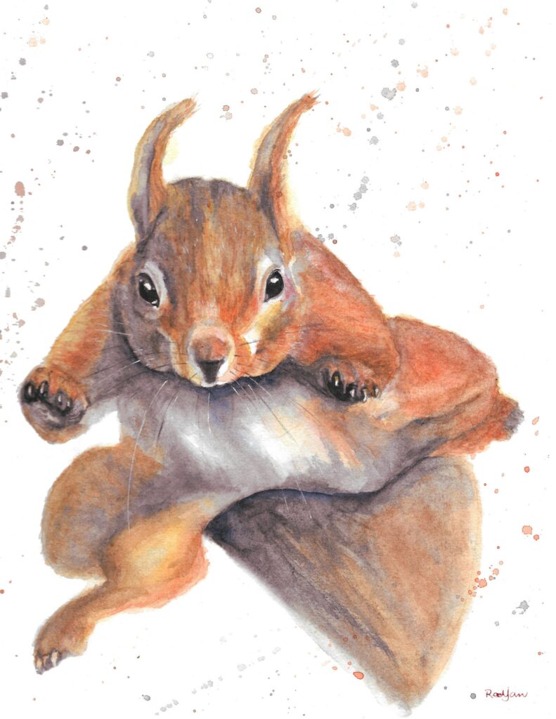 Red Squirrel, Watercolour Painting Of A Scottish Red Squirrel
