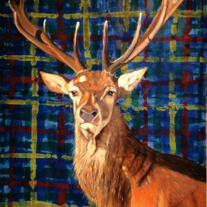 Highland Stag