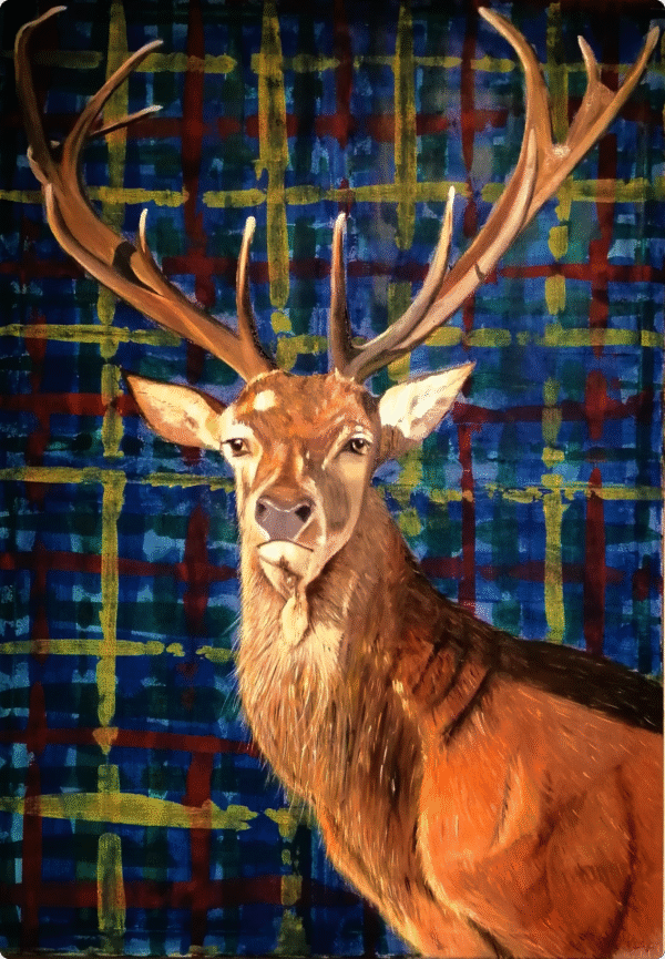 Highland Stag