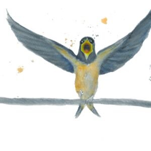 Swallow Ready For The Off, Two!