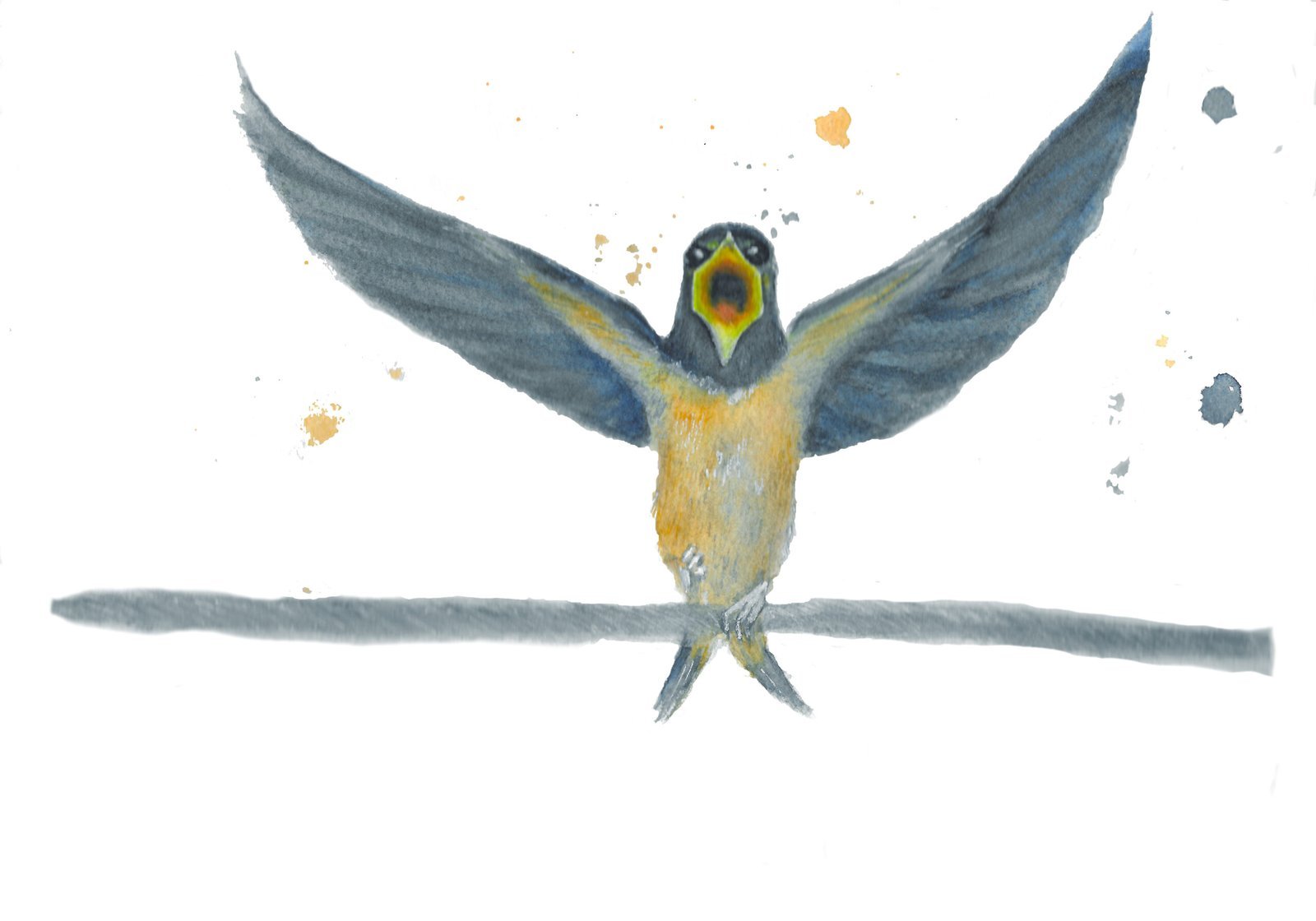 Swallow Ready For The Off, Two!