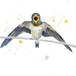Swallow Ready For The Off, Three